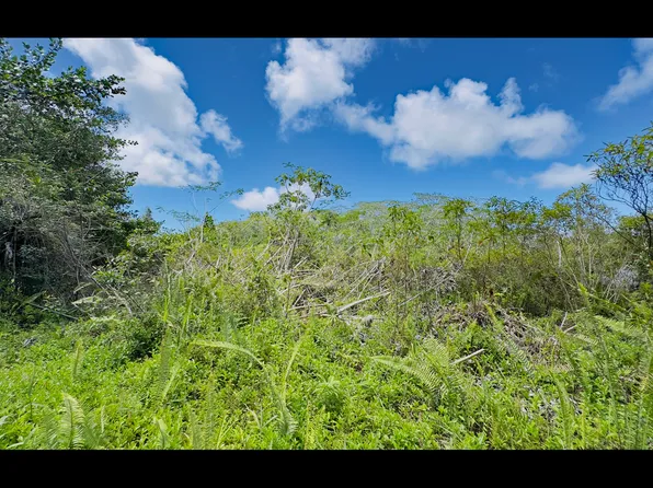 15-1995 31st Ave Lot 302, Keaau, HI 96749