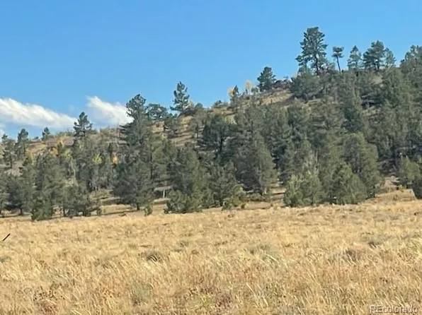 Black Beaver Trail, Hartsel, CO 80449