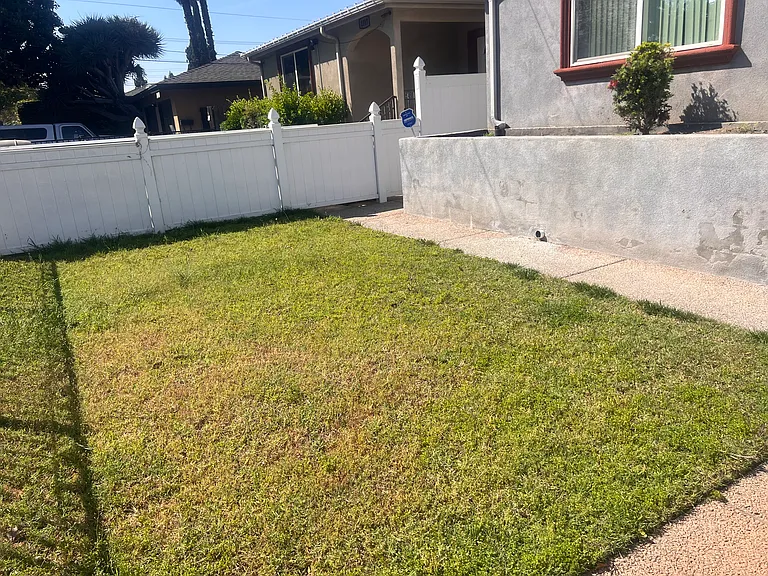 Gated and Fenced front yard w/ grass & concrete