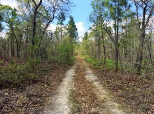 62 King St, Williston, SC 29853