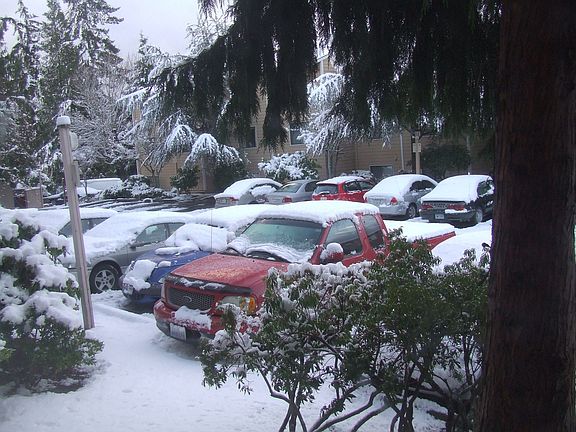 View of parking space from master bedroom