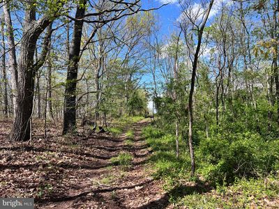 360 Pheasant Ln, Berkeley Springs, WV, 25411