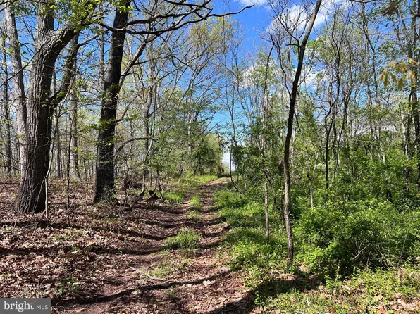 360 Pheasant Ln, Berkeley Springs, WV 25411