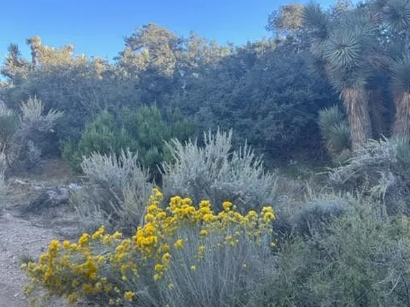 0 Deer Haven Dr, Pinon Hills, CA 92372