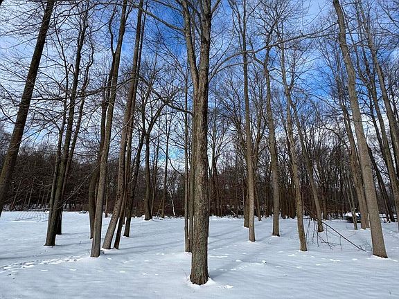 2nd image of Timberlane Dr