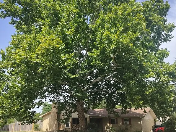 12785 County Road 1222, Tyler, TX 75709