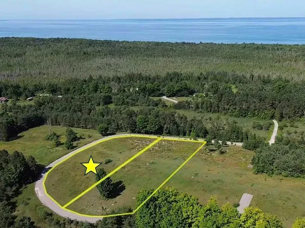 0 Fox Mission Trl #10, Central Lake, MI 49622