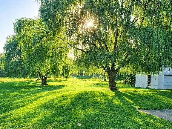 3rd image of 5420 Schenk Rd