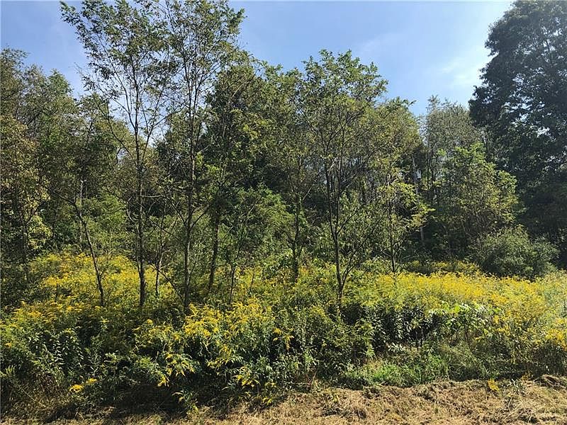 2nd image of 488 Windy Flats Rd