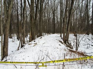 8200 Dorwood Rd LOT WP001, Birch Run, MI 48415