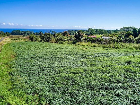 4th image of 29-321 Kulaiwi Rd Lot 16