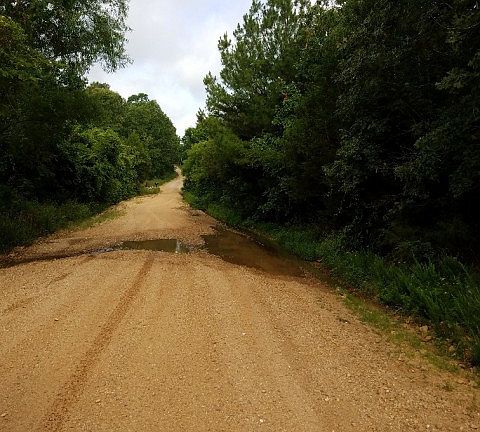 5th image of Big Creek Ln