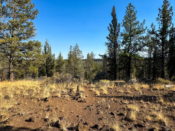 17390 Big Buck Rd, Sisters, OR 97759