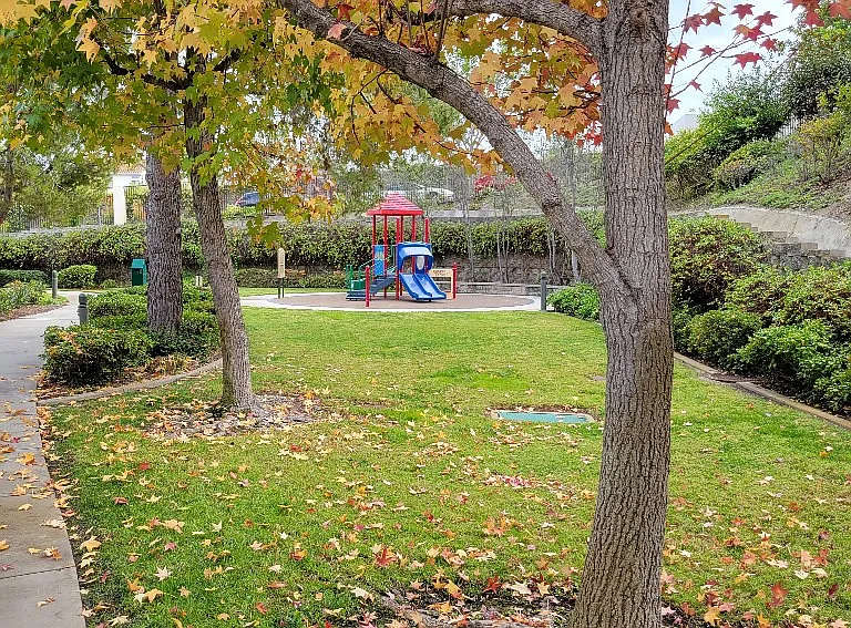 HOA Park and Play Yard. Next to the Pool.