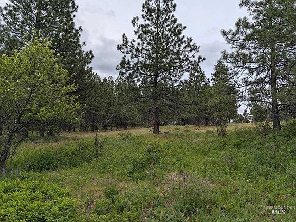 4th image of Jackpine Rd
