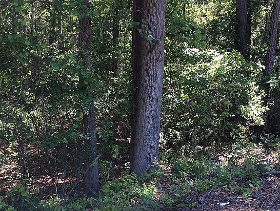 Very private country setting