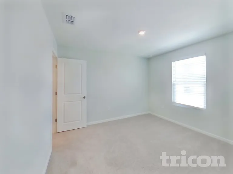 56 Brazil Nut Cir — Photo 13