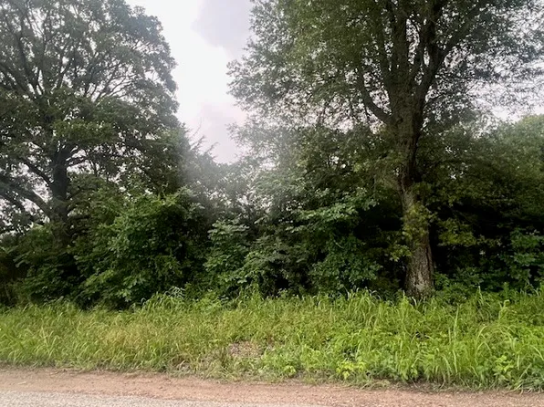 County Road 45800, Blossom, TX 75416