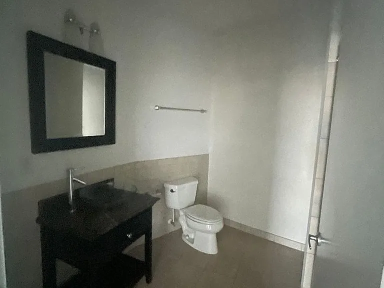 415 Saint Pauls Blvd #409 — Photo 9