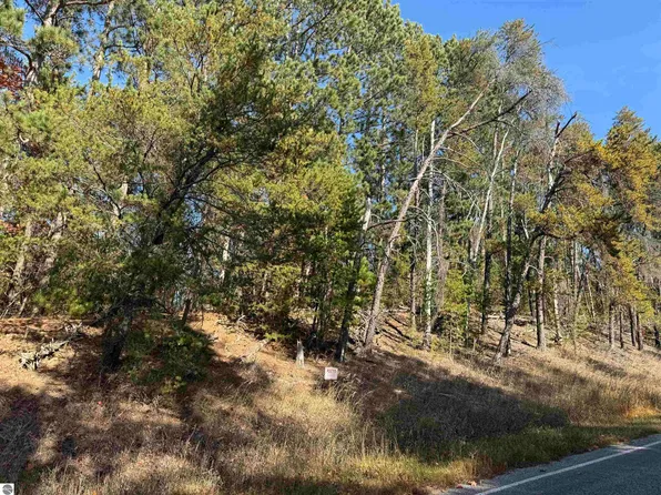 0 W 16th Rd, Mesick, MI 49668