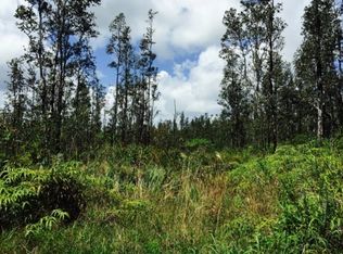 Road 5 LOT 3820, Kurtistown, HI 96760