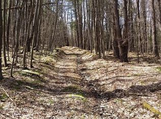 Newton Town Rd, Bainbridge, NY 13733