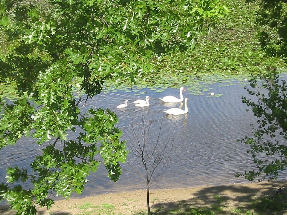 1st image of 5411 Riverwalk Trl