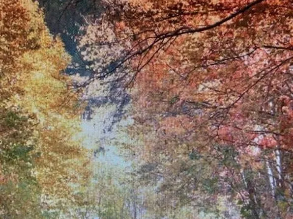 0 Trillium Ln, Mars Hill, NC 28754