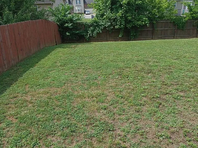 1486 Cobra Ln — Photo 11