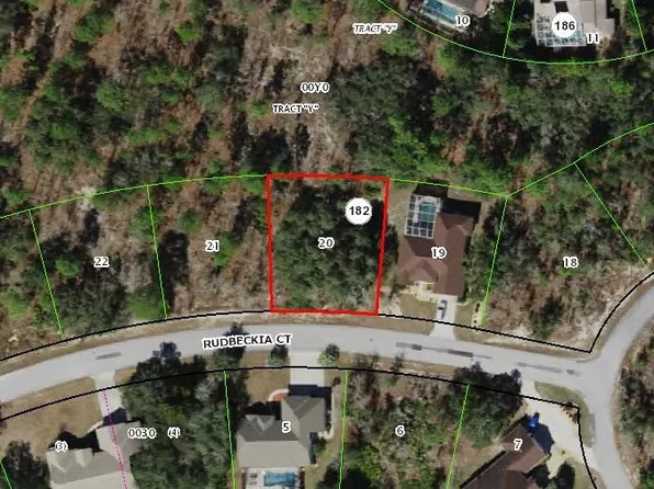 11 Rudbeckia Ct, Homosassa, FL 34446