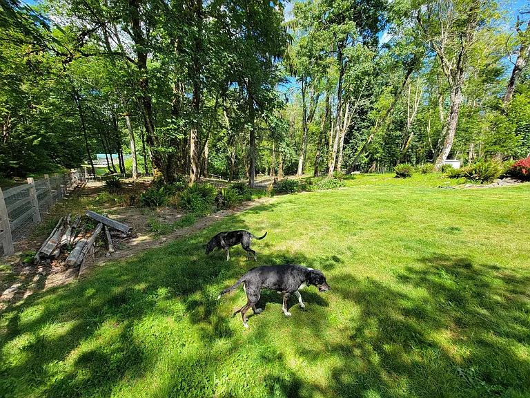 View looking N at edge of property