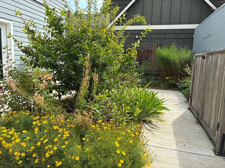 Floor garden