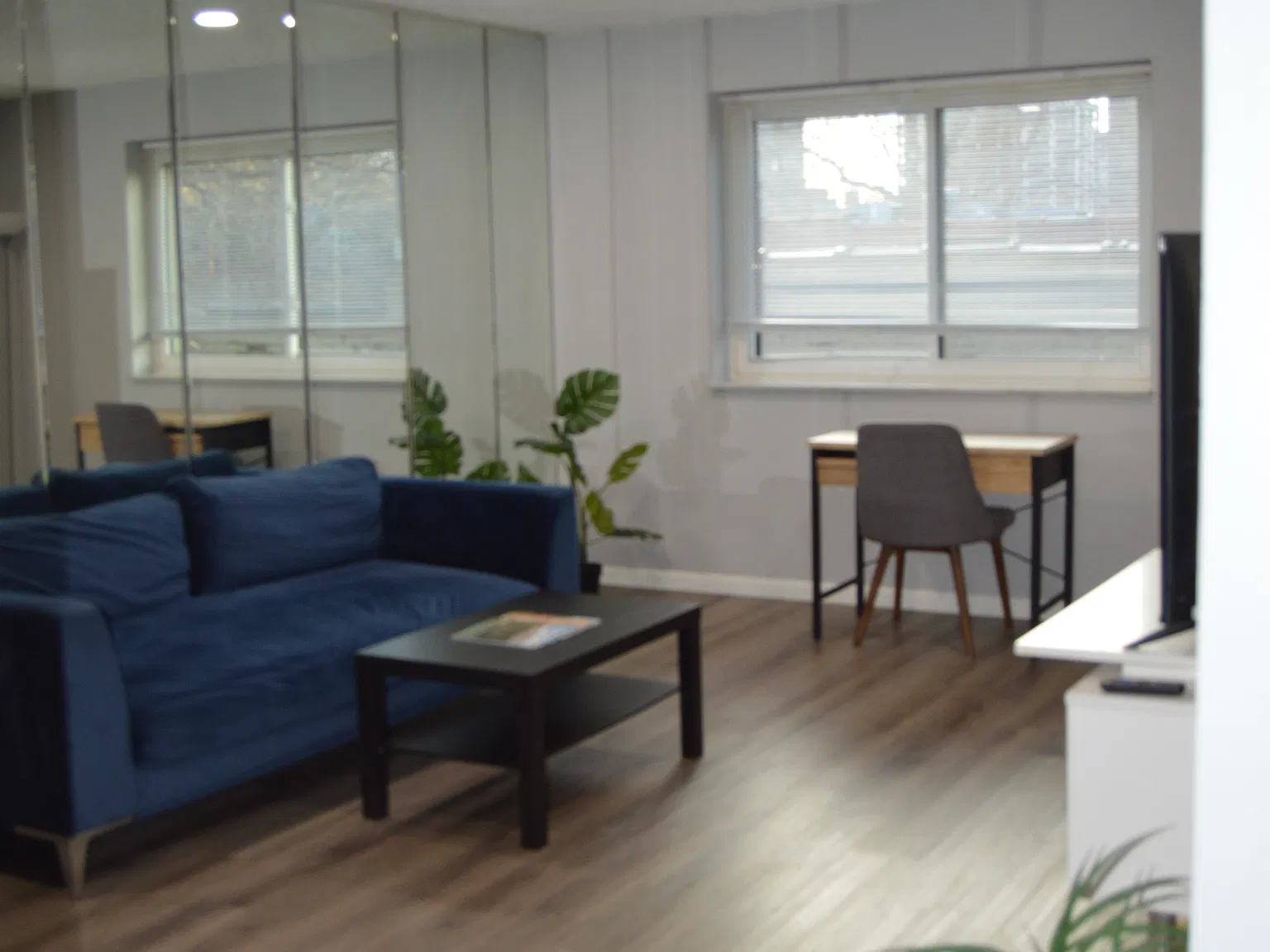 1 bed, 700 sqft, $1,400 — Photo 4