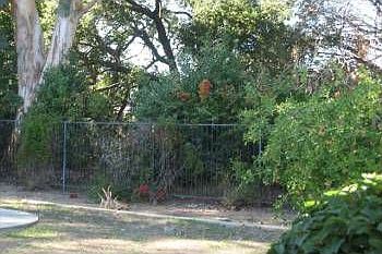 4th image of 811 Alderbrook Ln