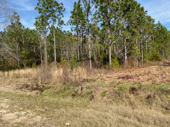 0 Omussee & Huskey Rd, Dothan, AL 36303