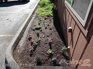FLOWER GARDEN