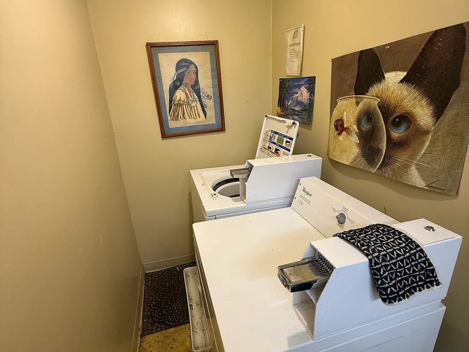 1 bed, $775 — Photo 2
