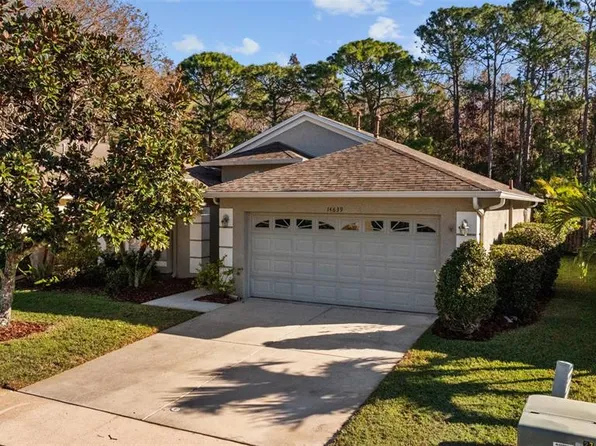 14639 Corkwood Dr, Tampa, FL 33626