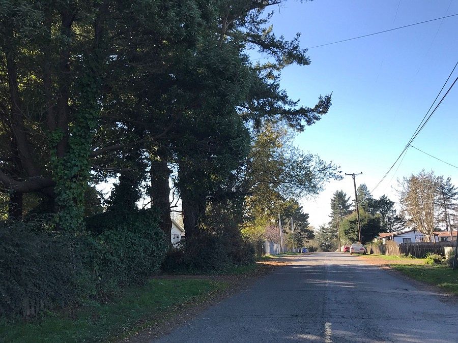 2nd image of 1887 Fir Ave