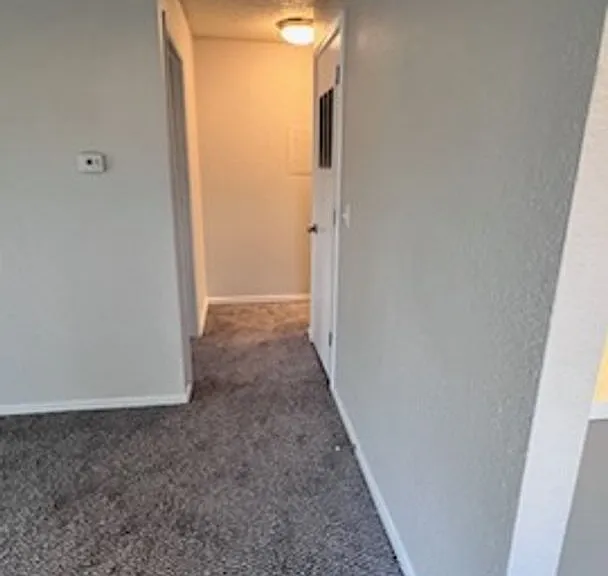 Hickory Grove Apartments — Photo 7