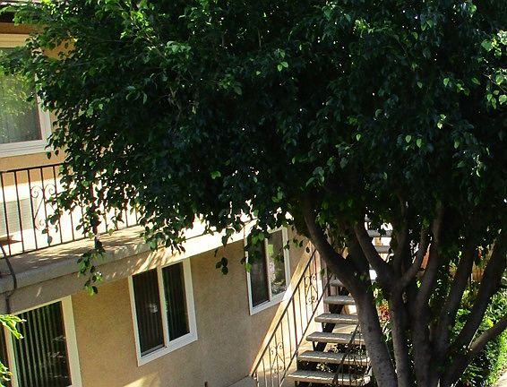 5th image of 1195 E Hollyvale St APT 4