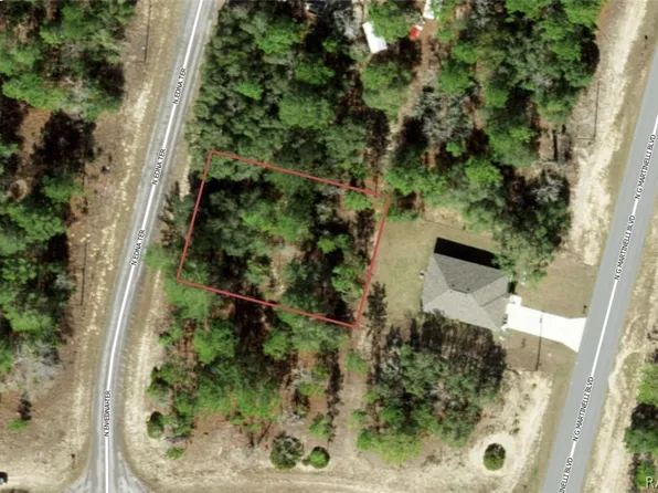 11155 N Edna Ter, Citrus Springs, FL 34433