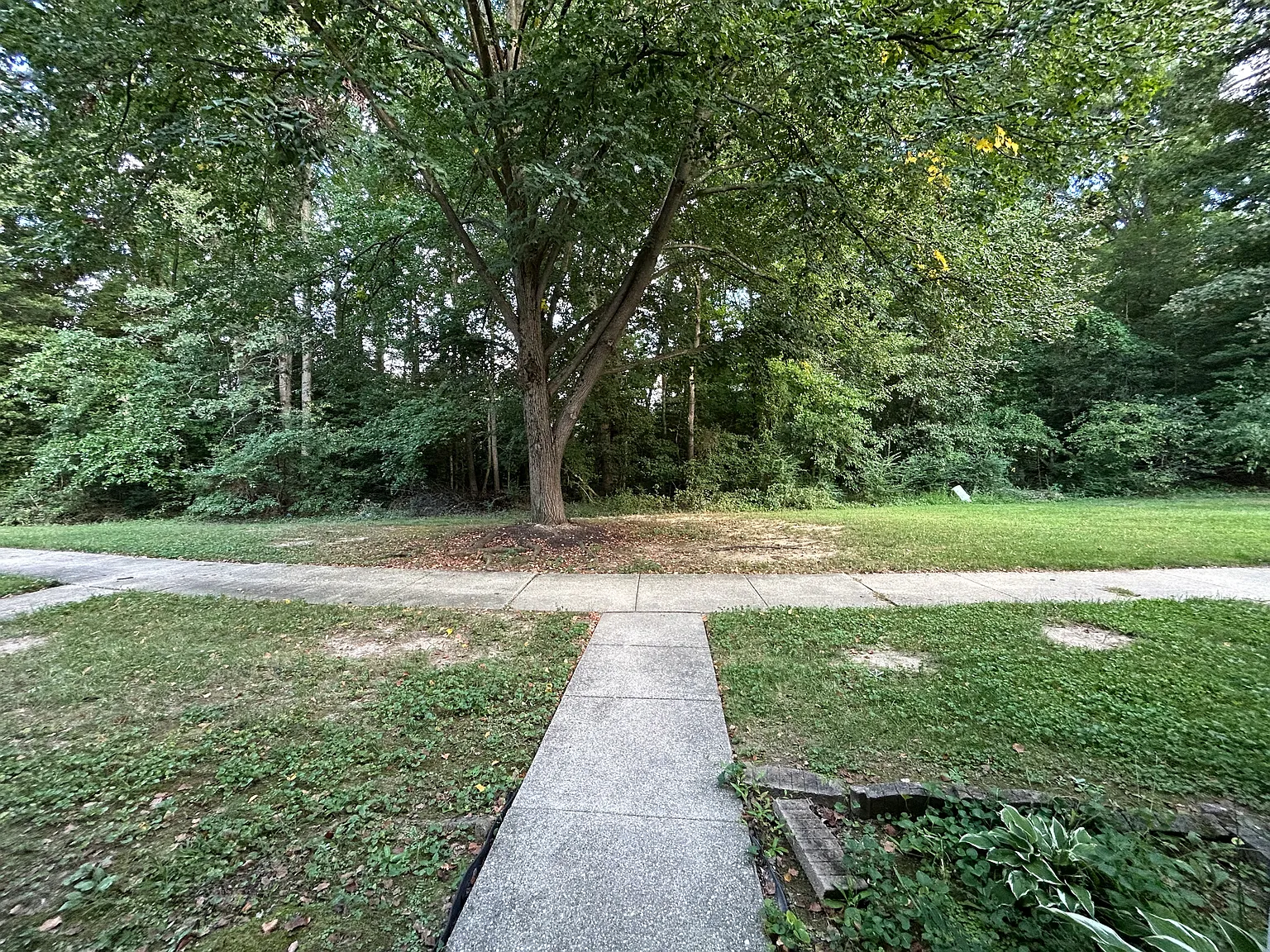 3 bed, 1.5 bath, 1200 sqft, $2,250 — Photo 3