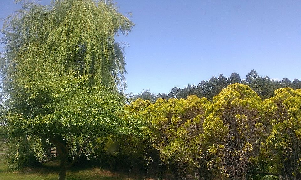 View from the master bedroom