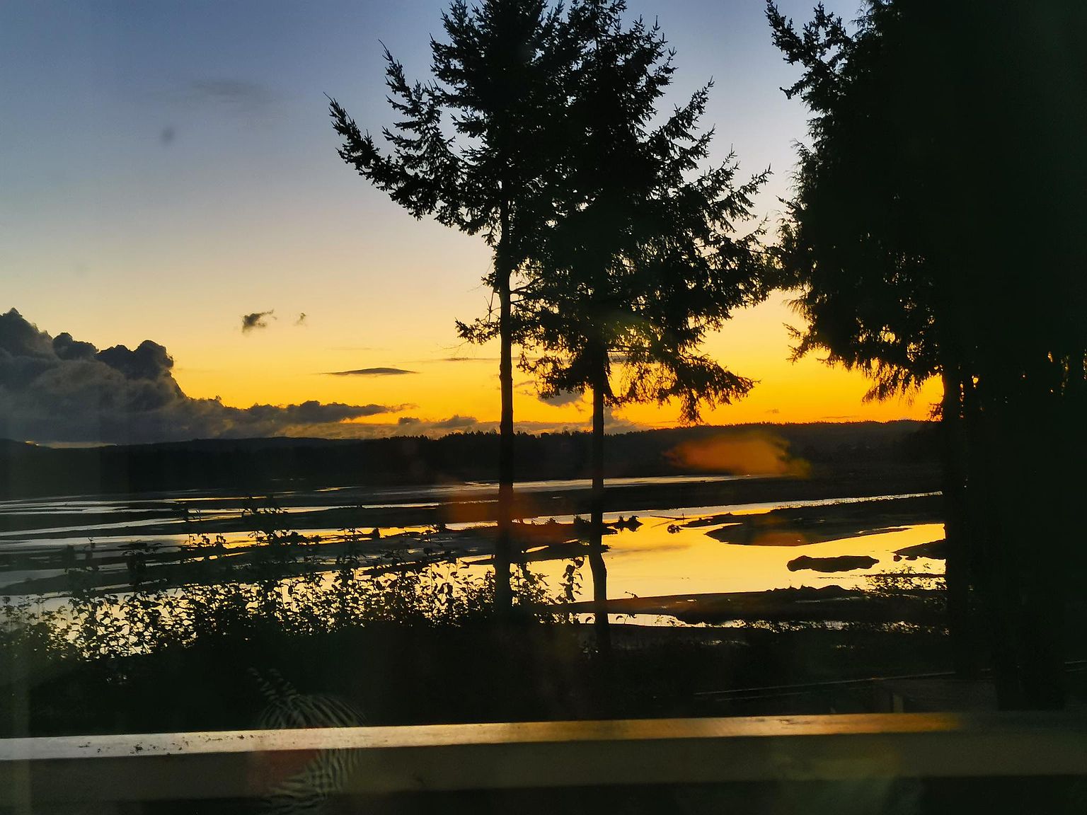 1074 Haliburton St, Nanaimo, BC V9R 6N6 Zillow