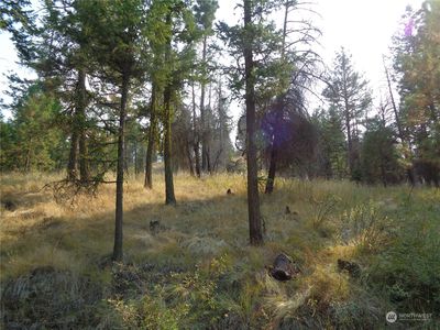 59 Lot Red Feather Road, Riverside, WA, 98849