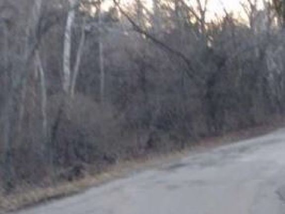 Exterior Neighborhood (street photo)