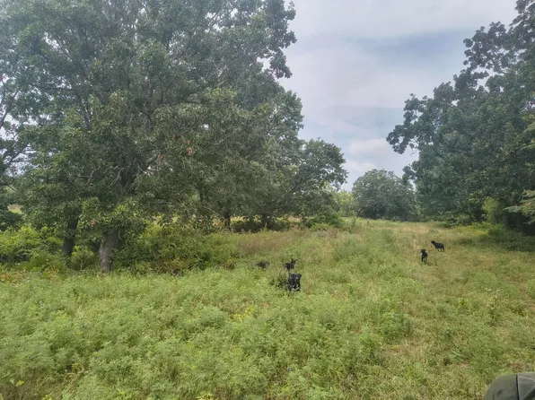 1830 Sweet Corn Drive, Galena, MO 65656