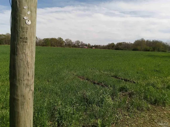 7200 Blk Chestnut Rd, Molino, FL 32577