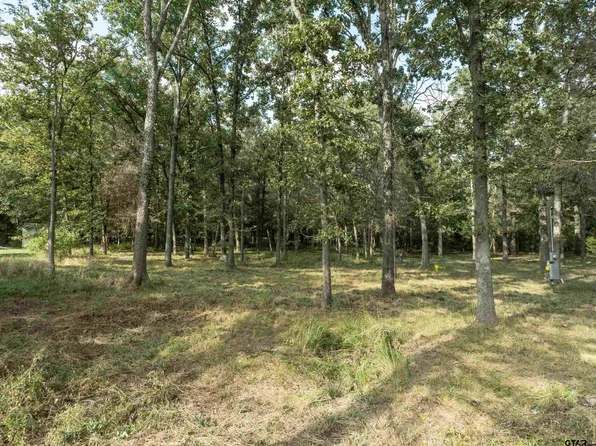 Callender Lake Dr, Murchison, TX 75778